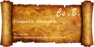 Csepela Benedek névjegykártya