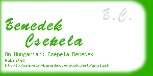 benedek csepela business card